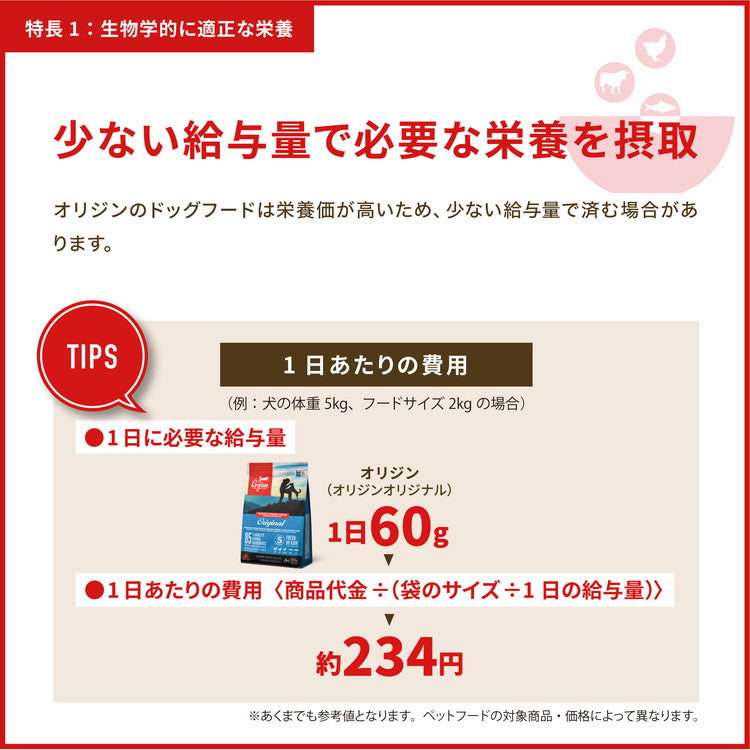 オリジン レジオナルレッド ドッグ 11.4kg ORIJEN 犬用 ドッグ 主食 フード