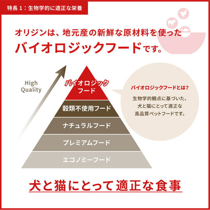 オリジン レジオナルレッド ドッグ 11.4kg ORIJEN 犬用 ドッグ 主食 フード