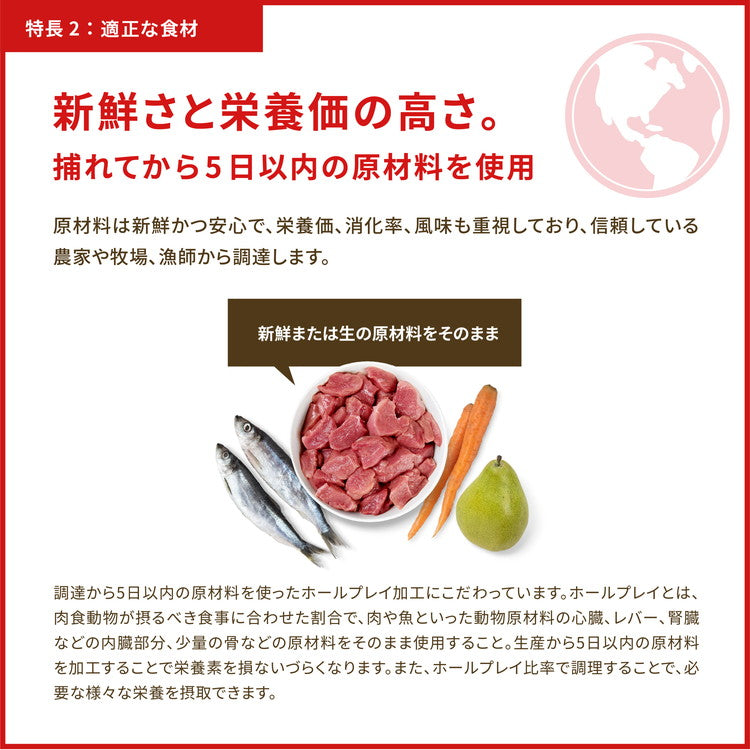 オリジン レジオナルレッド ドッグ 2kg ORIJEN 犬用 ドッグ 主食 フード