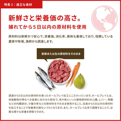 オリジン レジオナルレッド ドッグ 2kg ORIJEN 犬用 ドッグ 主食 フード