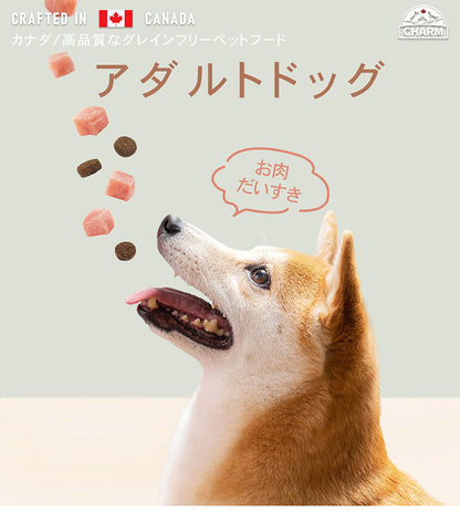 CHARM チャーム アダルトドッグ 5.4kg 犬用 いぬ用 ドッグフード ペットフード