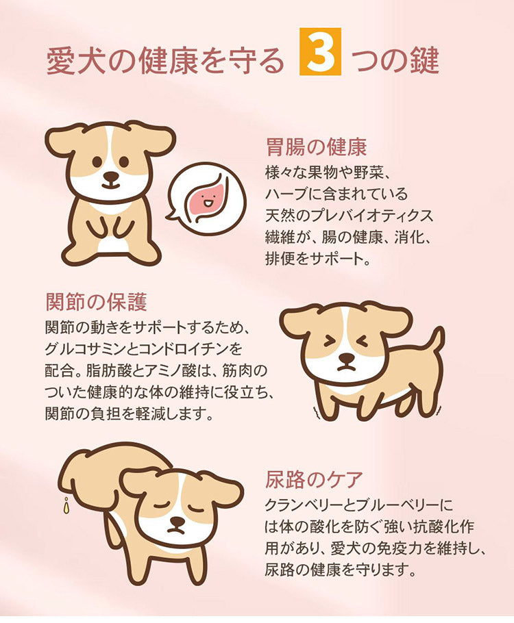 CHARM チャーム アダルトドッグ 5.4kg 犬用 いぬ用 ドッグフード ペットフード