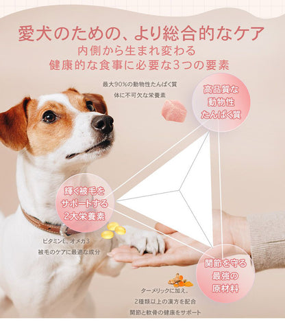 CHARM チャーム アダルトドッグ 10kg 犬用 いぬ用 ドッグフード ペットフード