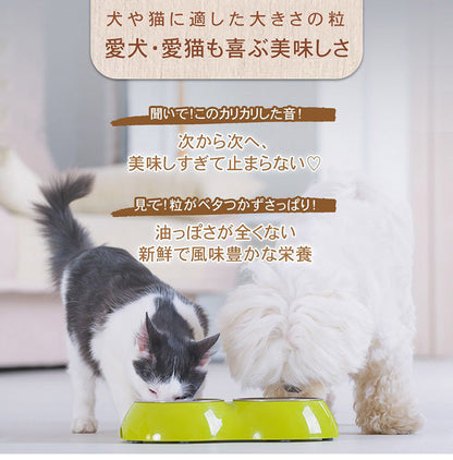 CHARM チャーム ラム&サーモンドッグ 5.4kg 犬用 いぬ用 ドッグフード ペットフード