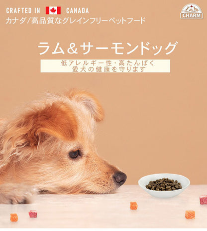 CHARM チャーム ラム&サーモンドッグ 10kg 犬用 いぬ用 ドッグフード ペットフード