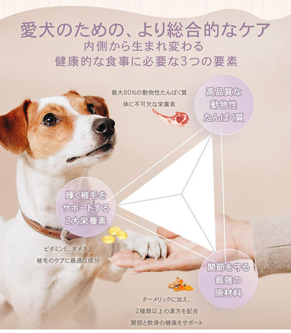 CHARM チャーム ラム&サーモンドッグ 10kg 犬用 いぬ用 ドッグフード ペットフード