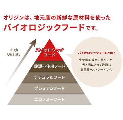 【2個セット】 オリジン レジオナルレッド ドッグ 11.4kg x2 22.8kg ドライフード ドッグフード 犬用 フード ORIJIN