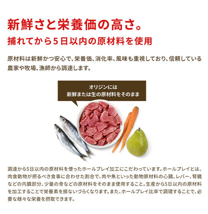 【2個セット】 オリジン レジオナルレッド ドッグ 11.4kg x2 22.8kg ドライフード ドッグフード 犬用 フード ORIJIN